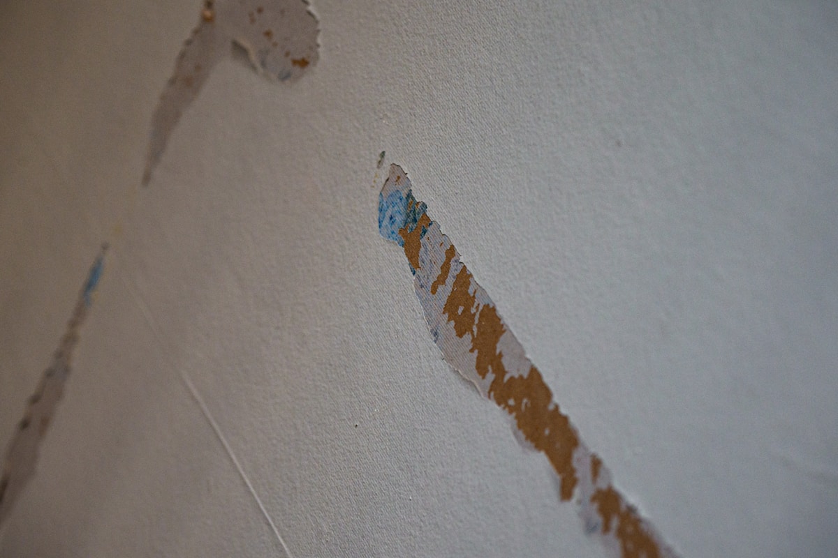Water Extraction service in East Lansing, MI